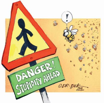 Bees The Victims Of Irresponsible Pesticide Use