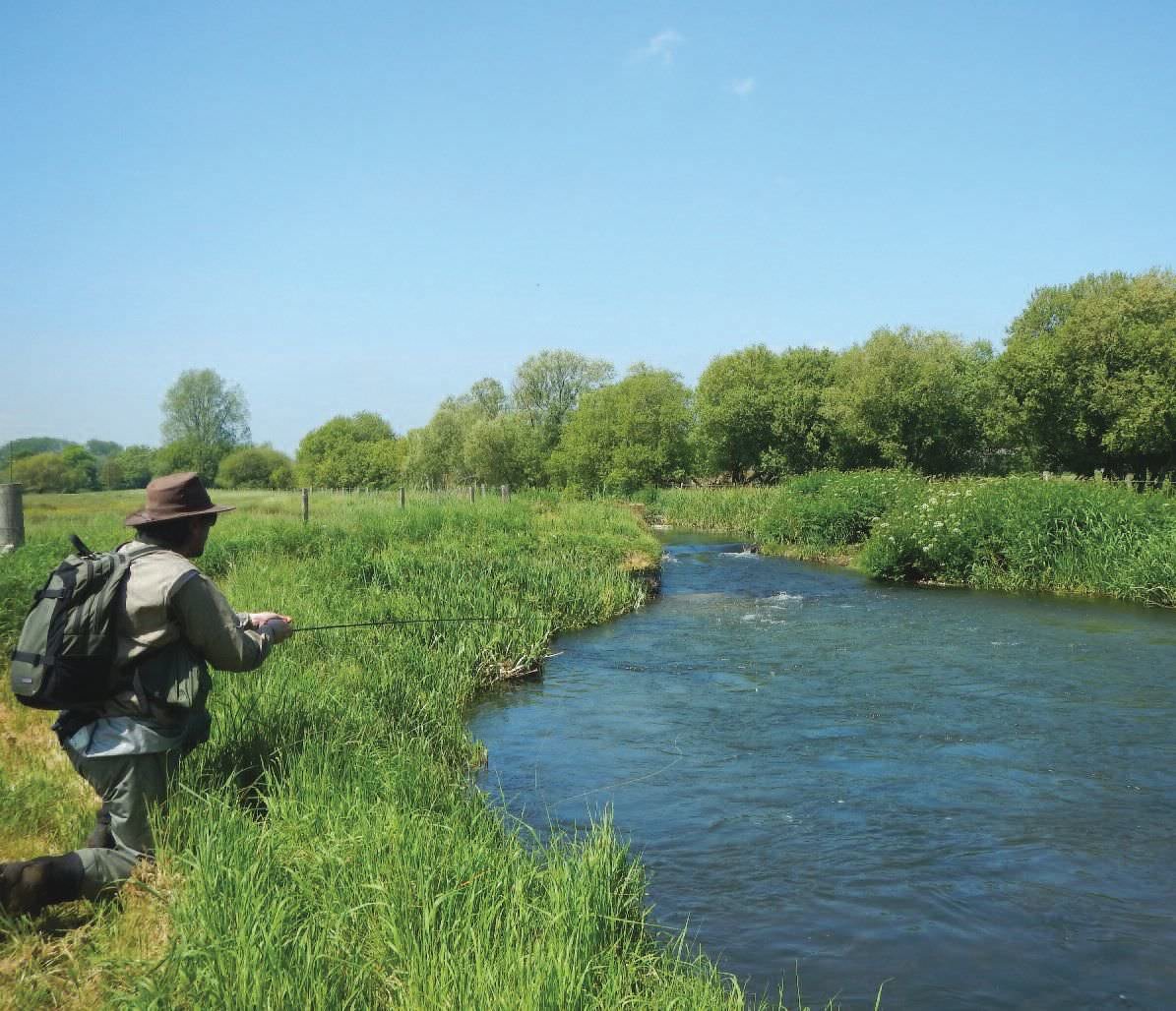 Classic Chalk Stream Fishing Delightful Danicas In Dorset