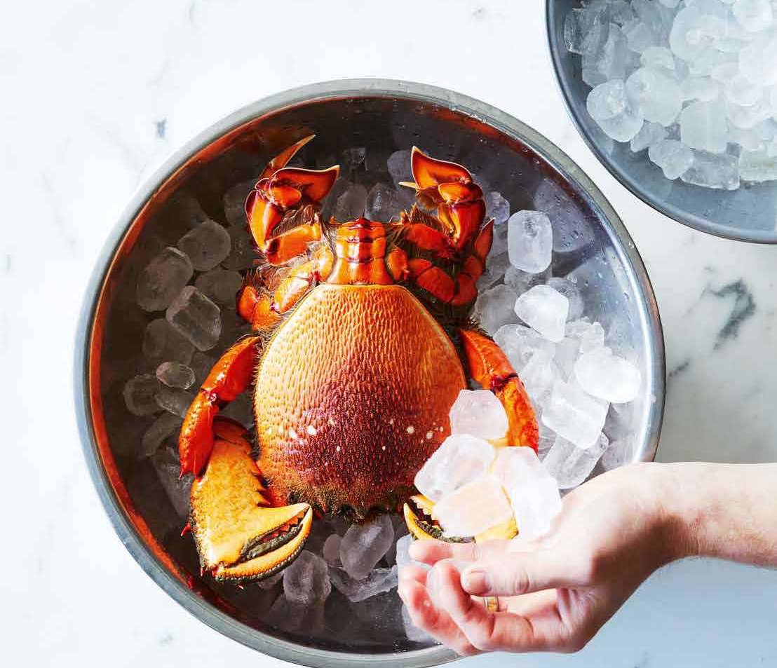 Spanner Crab