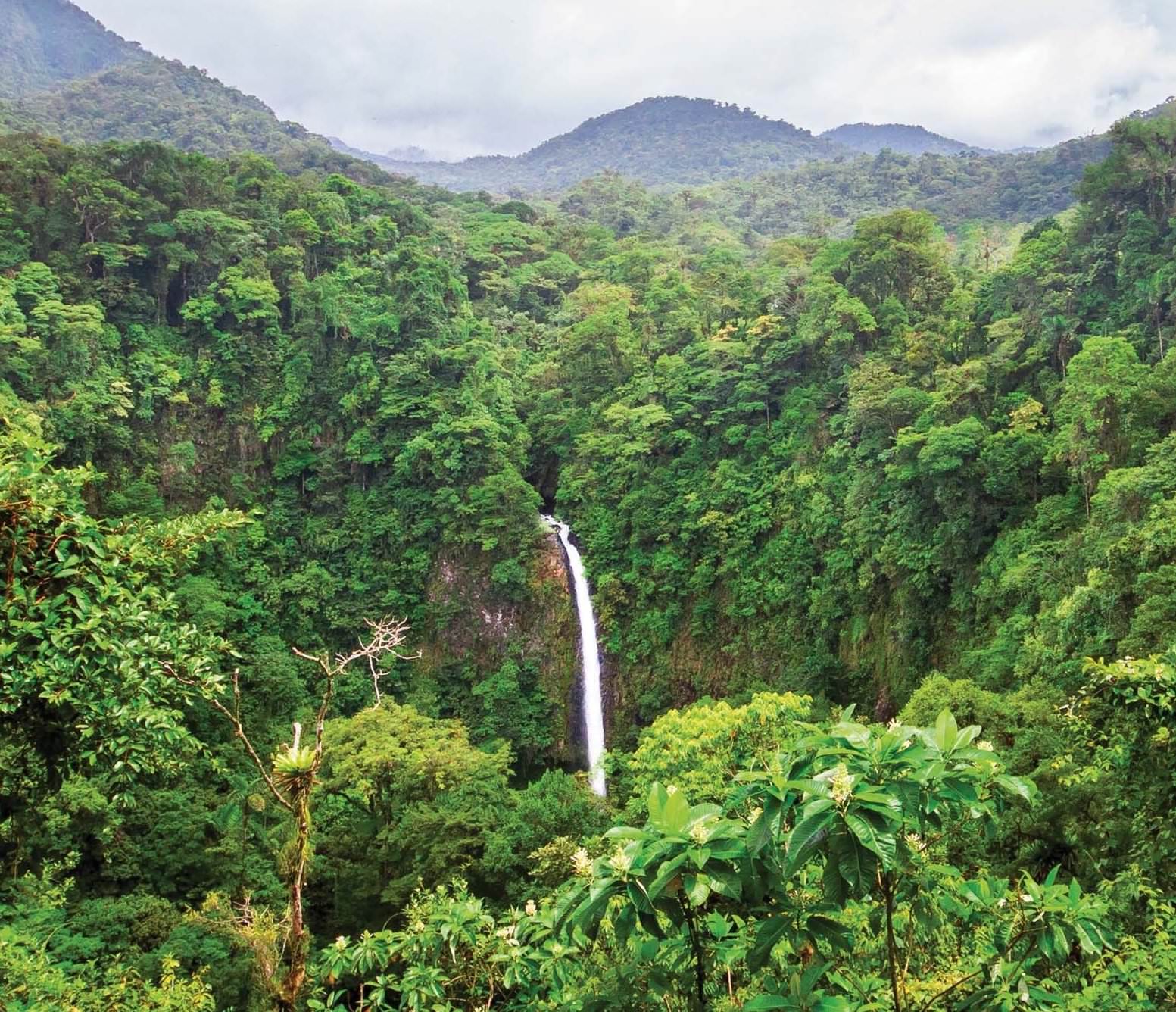 Parques Nacionales De Costa Rica Naturaleza Para Soñar