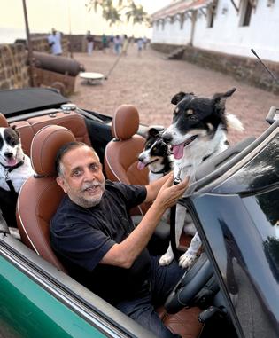 It's Raining Dogs in Goa