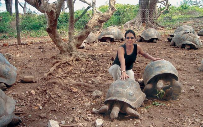 Zanzibar's Treasures