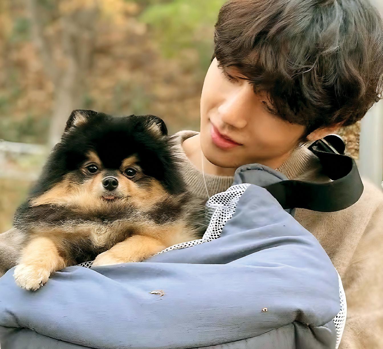 BTS' Tannie Most Loved
