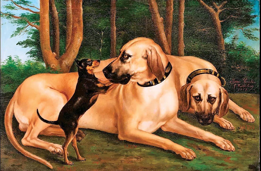 Manhattan's Dog Museum