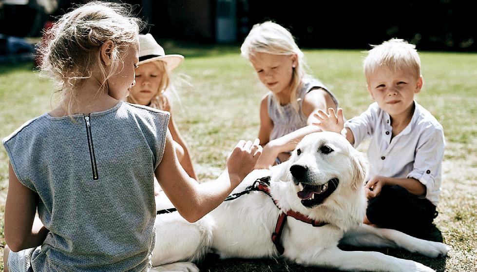 The Enchanting Kingdom of Animals Catch Them Young
