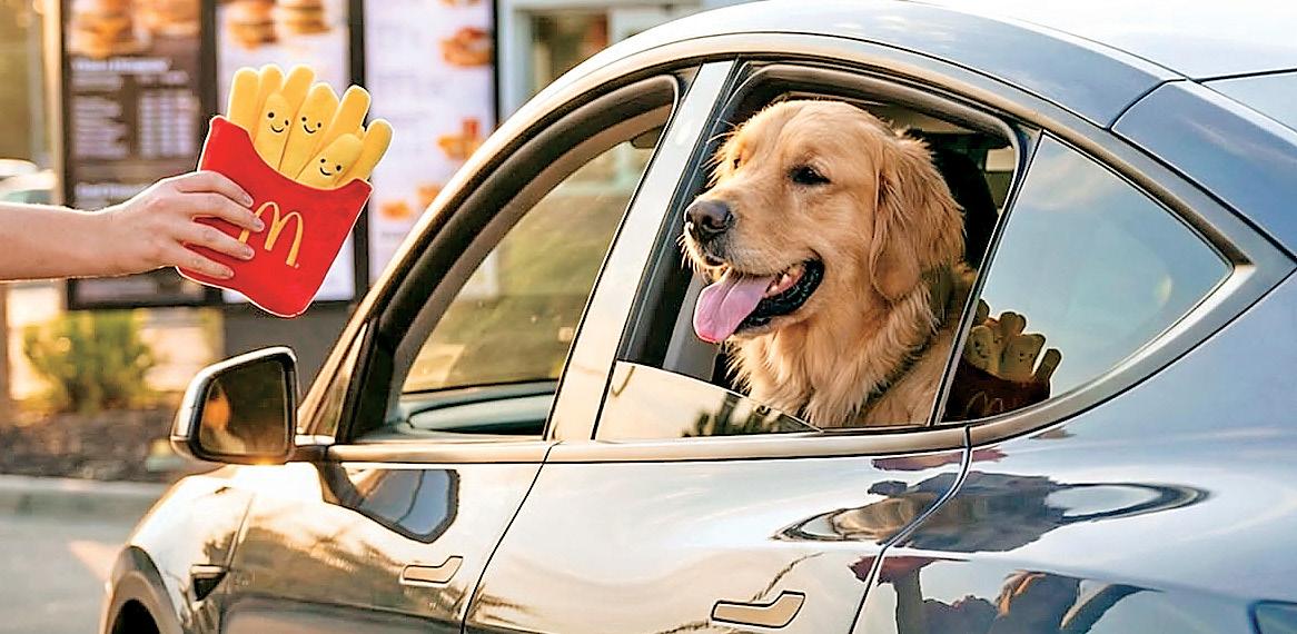 "Happy Doggies" in France