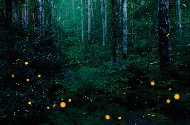 Major OM System launch incoming