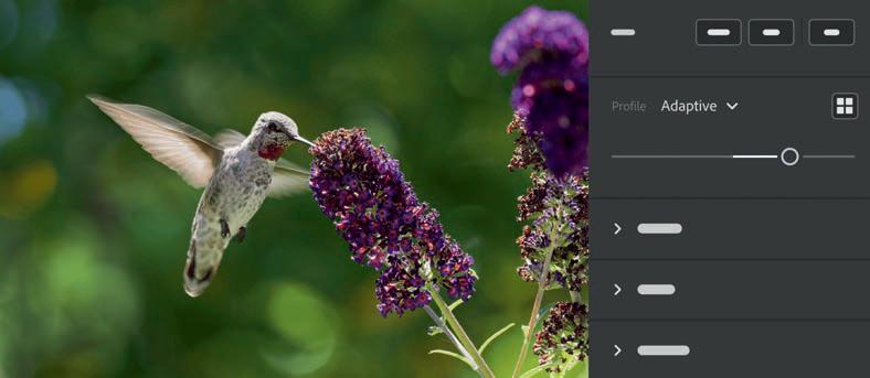 More AI editing tools from Adobe