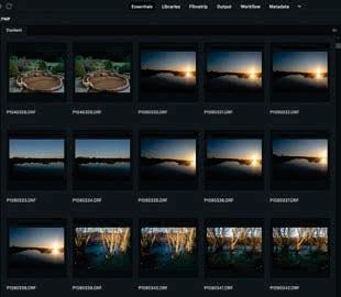 Viewpoint Geoff Harris