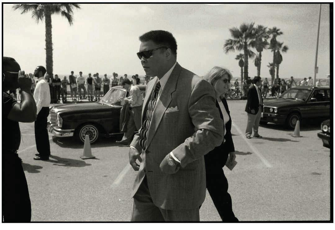 Hollywood Confidential