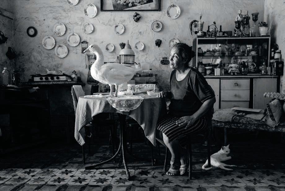 Final Analysis | Amateur Photographer - photography - Read this story ...