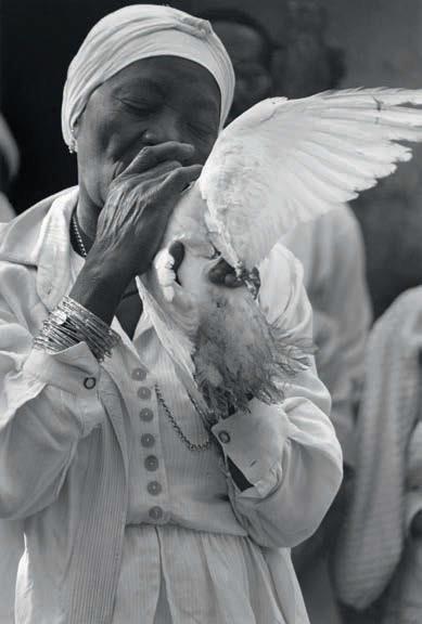 Cuba. On a Given Day