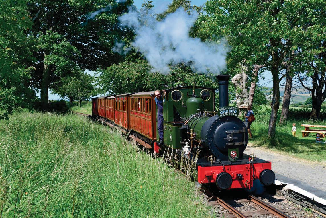 The ww ultimate DSLR