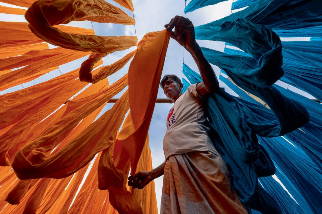 Amateur Photographer of the Year