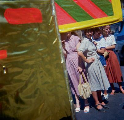 Brownie by David Katzenstein