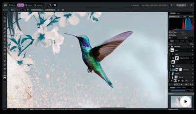 Affinity photo-editing software now free