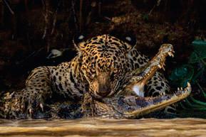 Enter Sony World Photography Awards, win big prizes