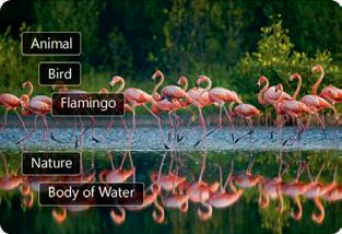 New photo-editing software for MacOS