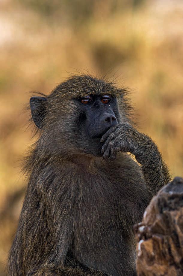 Round Seven: The Best of the Rest