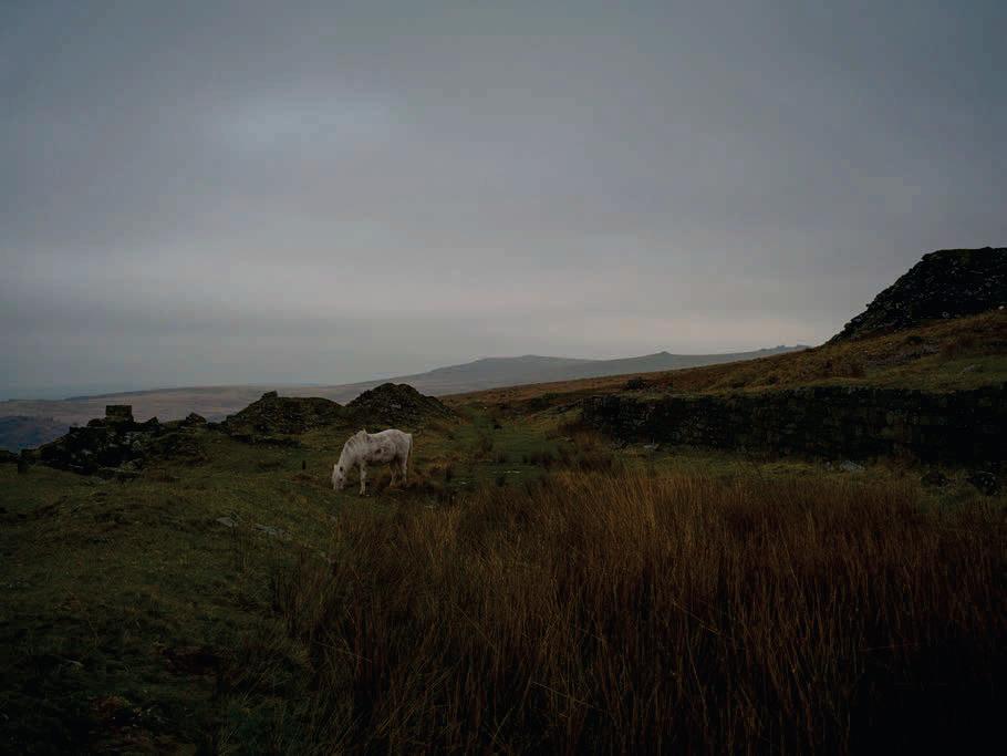 The Edge of Ruin
