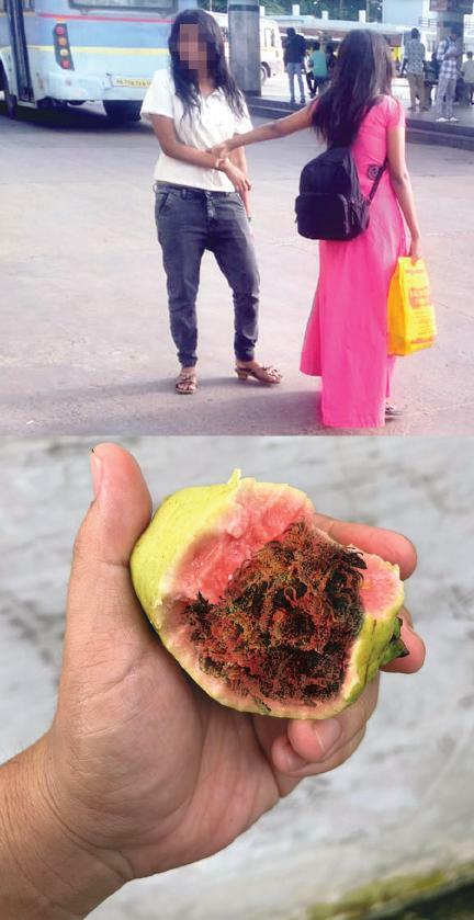 கொய்யா கஞ்சா... சீரழியும் பெண்கள்!