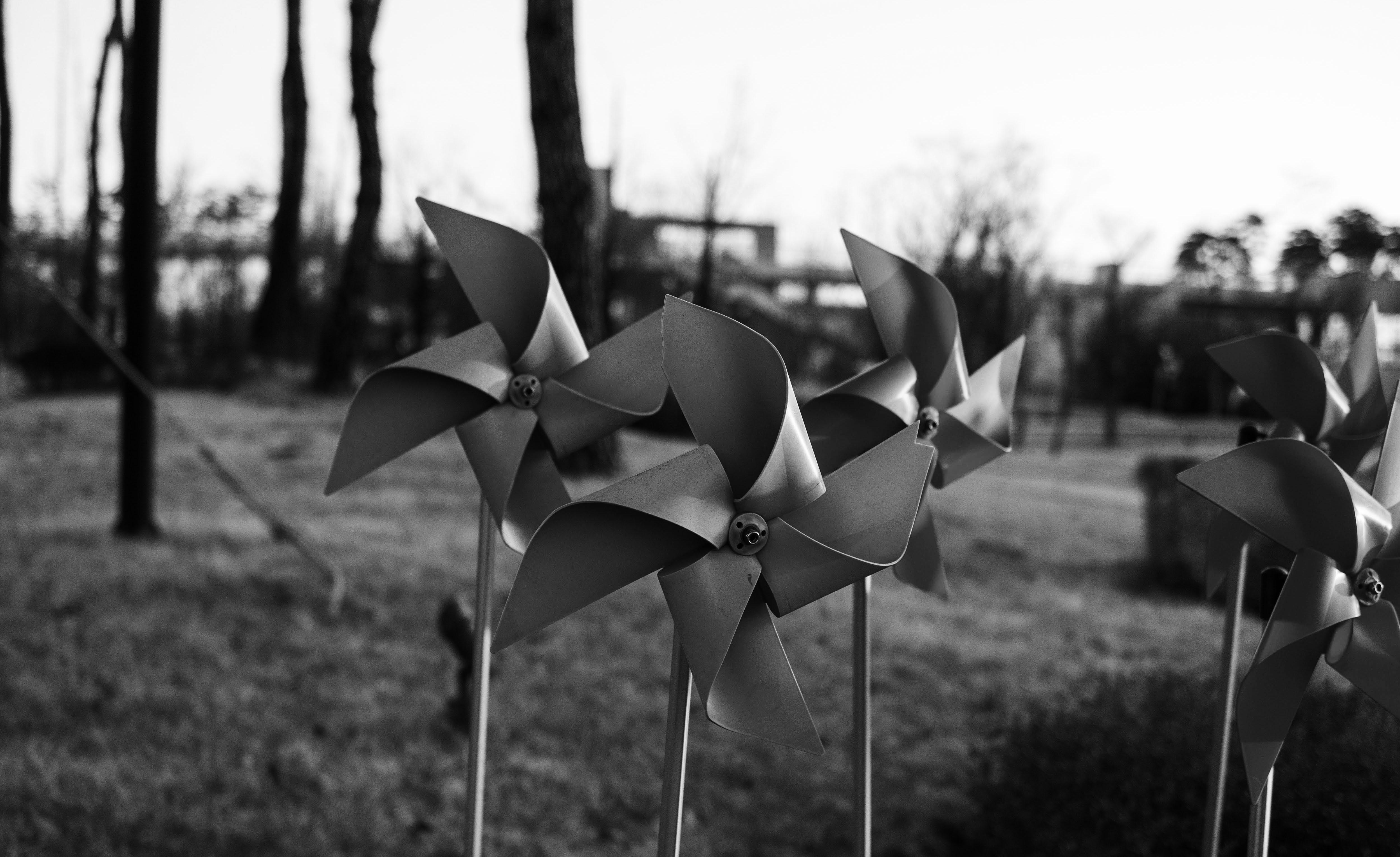 GOOD FENCES
