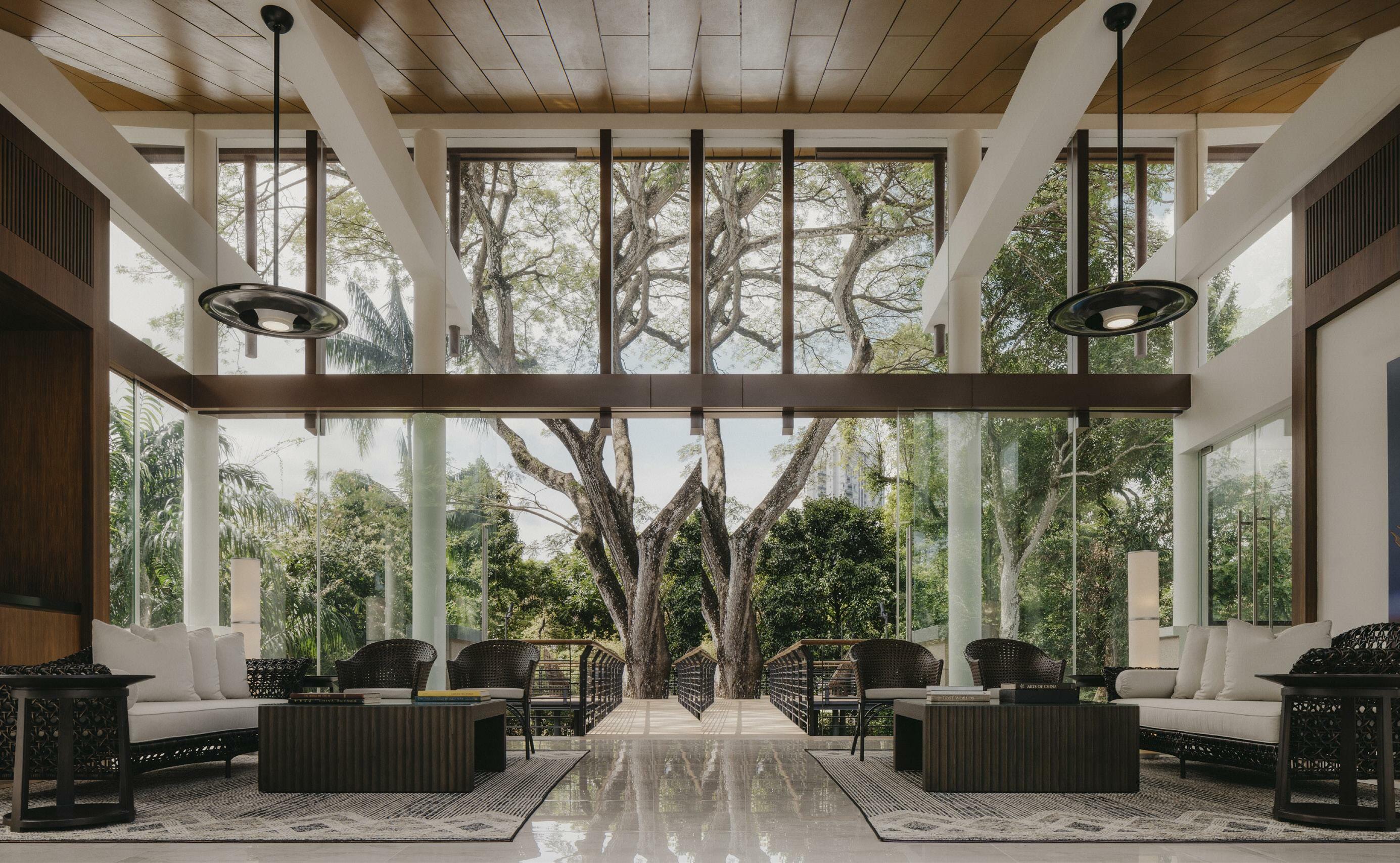 TALE OF A TREE AND A HOUSE