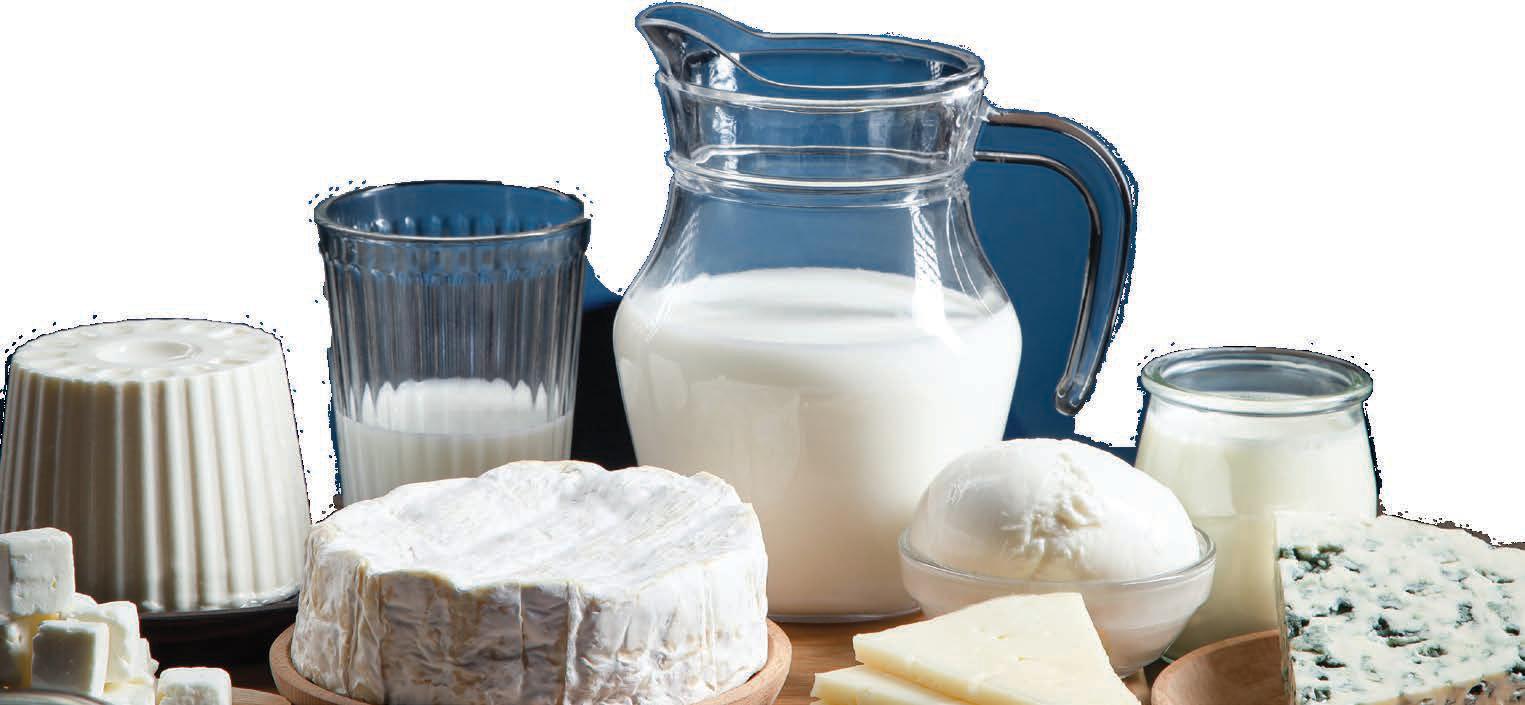 GST CUTS STIR DAIRY BOOM