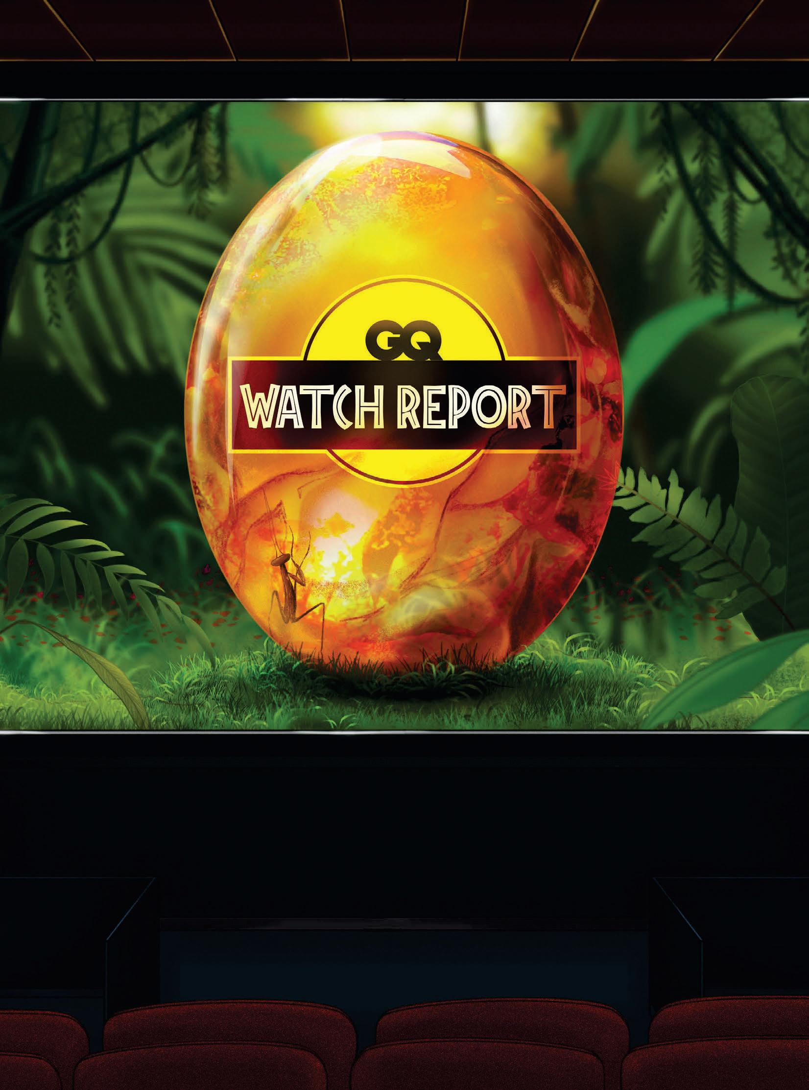 WATCH REPORT