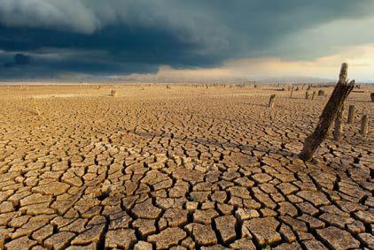 FROM HAZARDS TO CASCADES: RETHINKING CLIMATE RISK IN INDIA