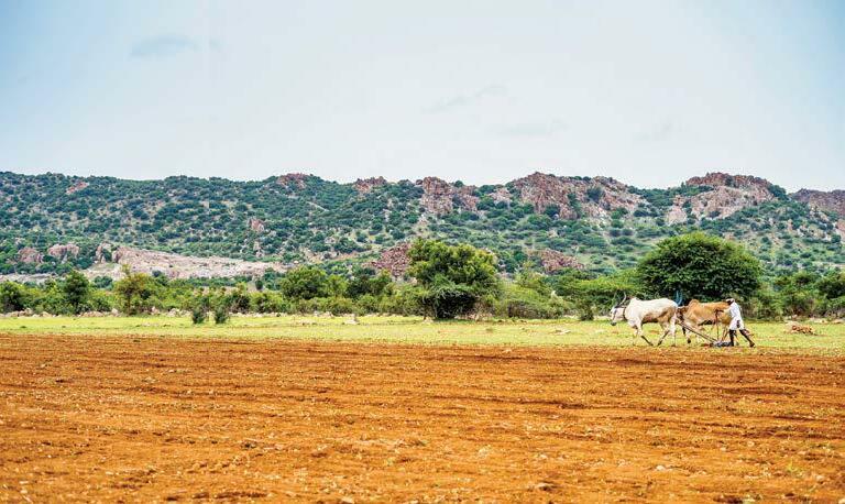 HOW AI IS RESHAPING FARMING