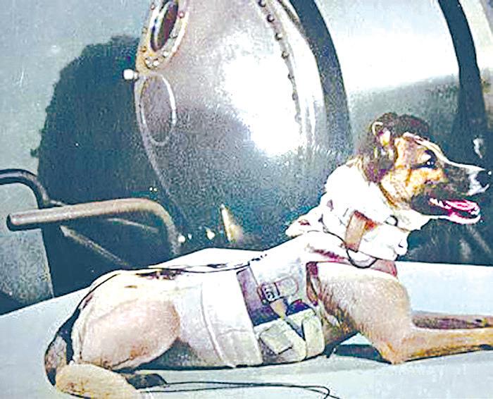 விண்வெளி பயணமும் 'லைக்கா' நாயின் தியாகமும்!