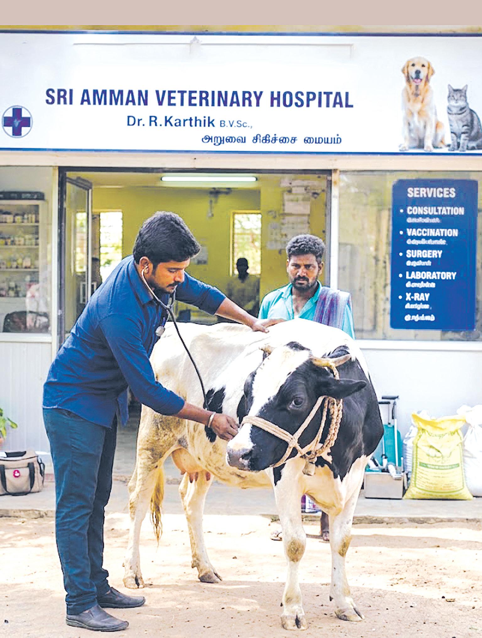 மண்ணின் பிள்ளை!