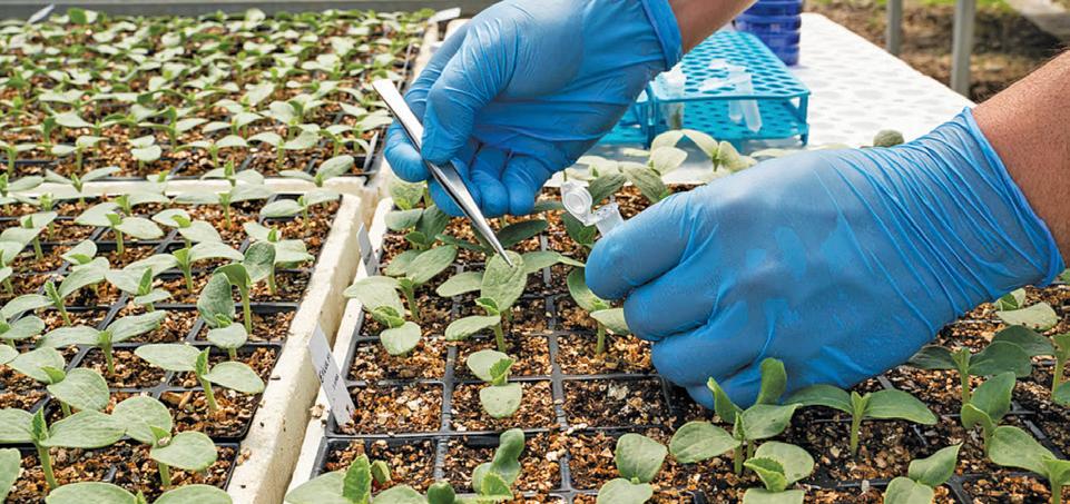 Discourse on plant, forest genetic resources