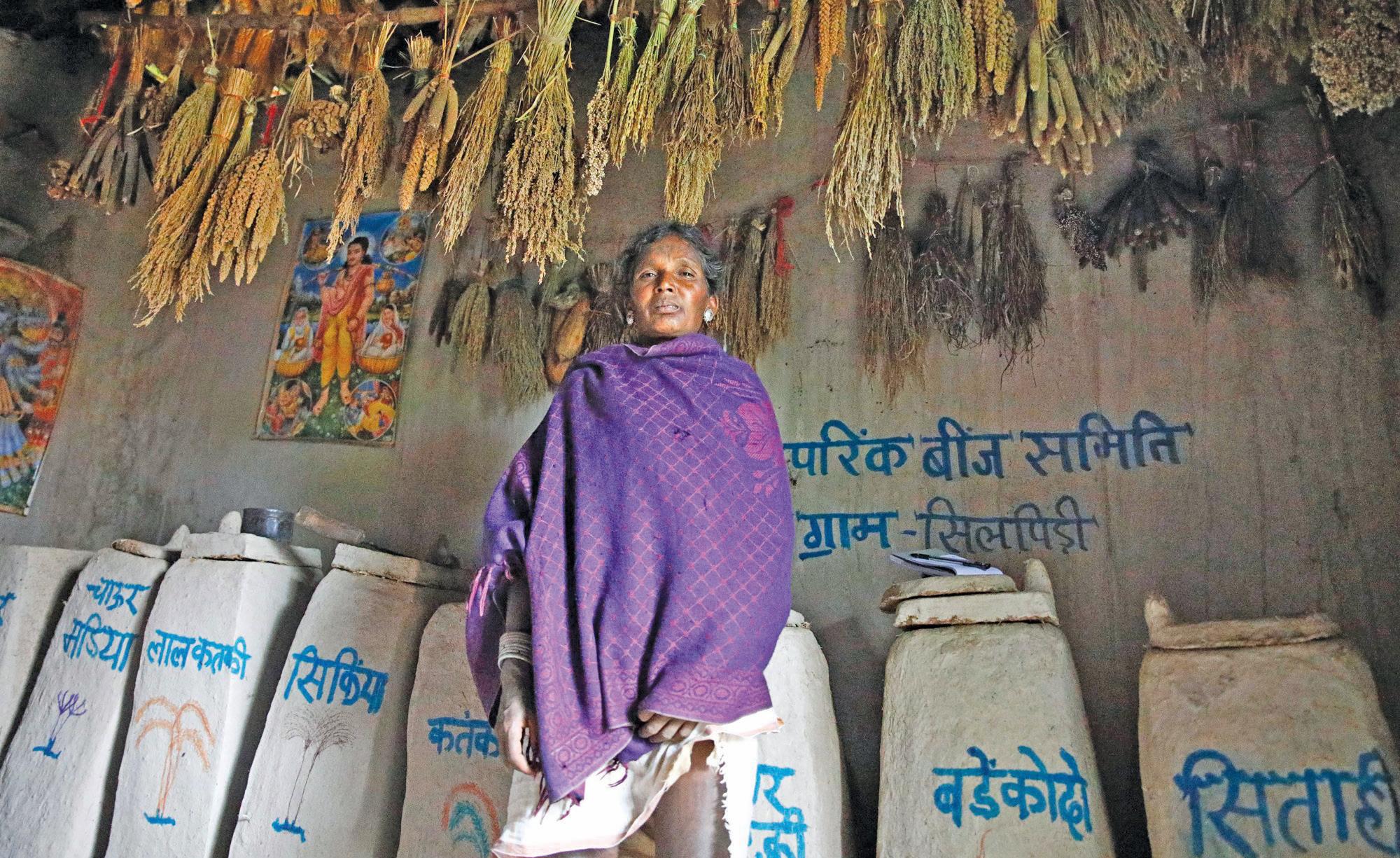Seed saviours