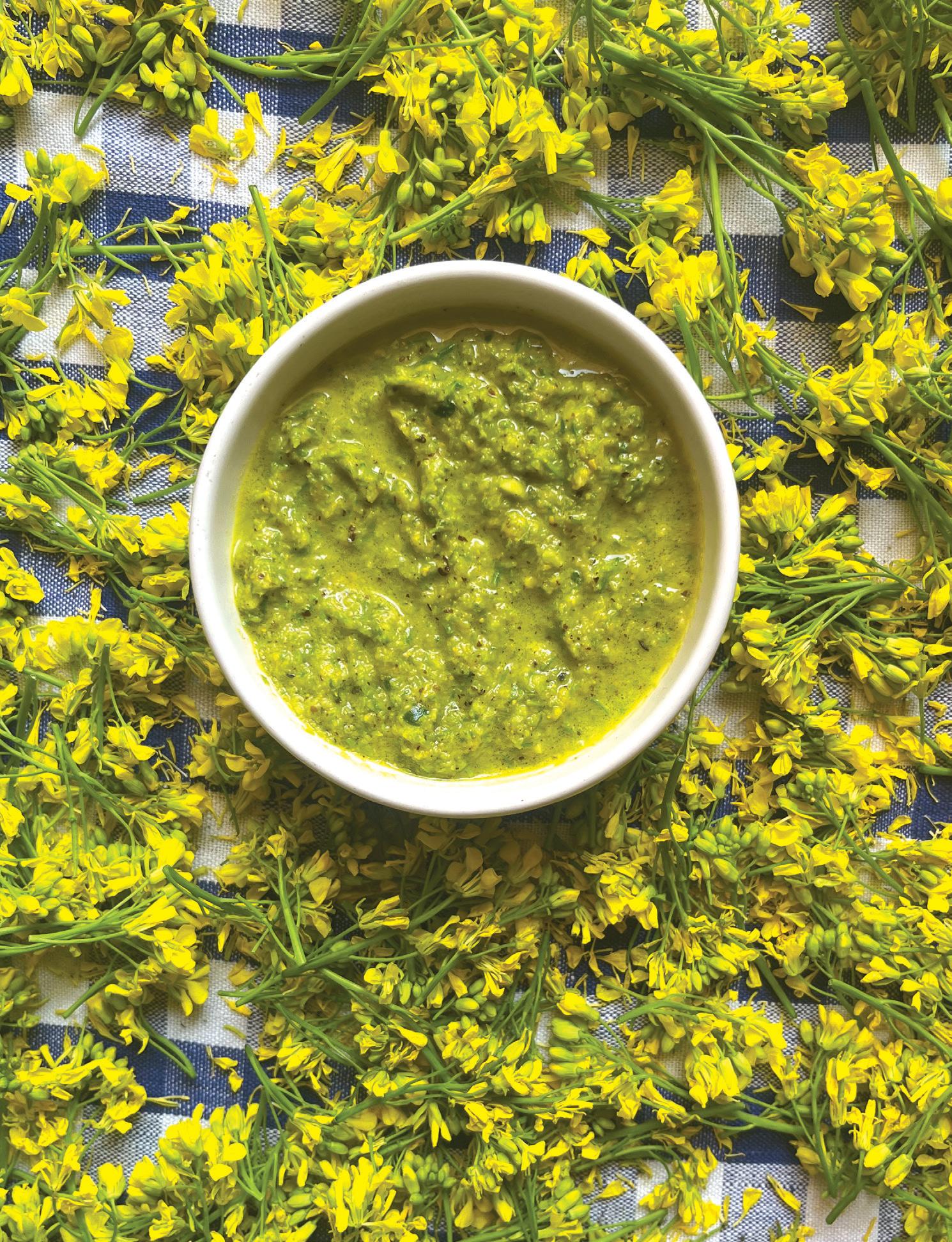A SPRING DELIGHT