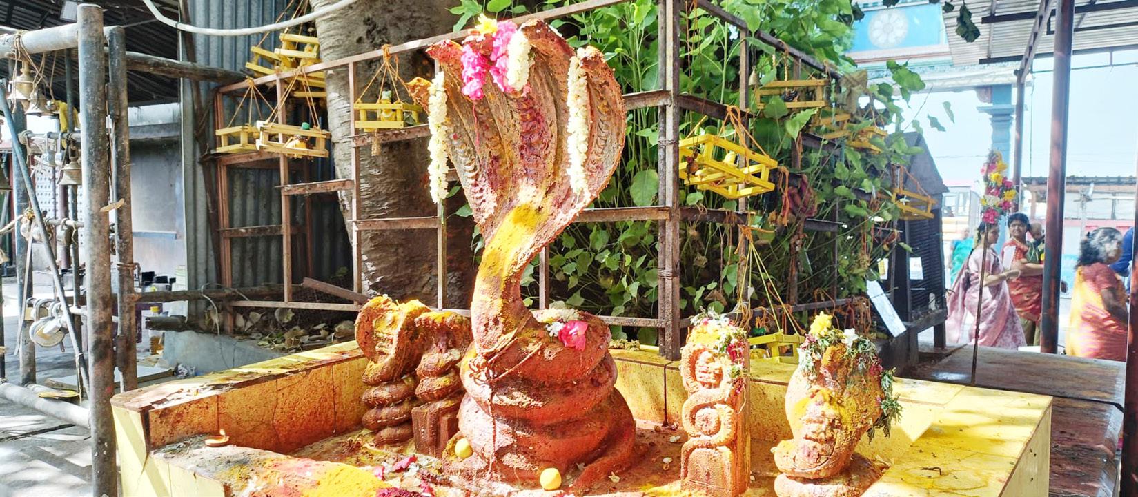 பக்தர்களின் துயர் தீர்க்கும் தெப்பக்குளம் மாரியம்மன்!