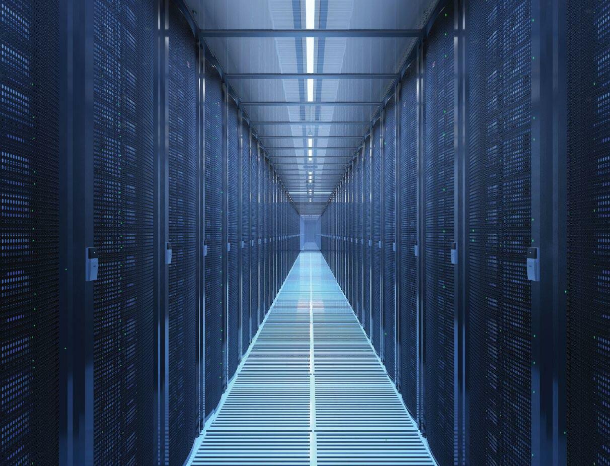 Data as Capital