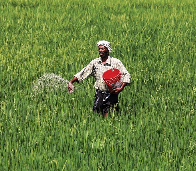 Fertiliser Fear