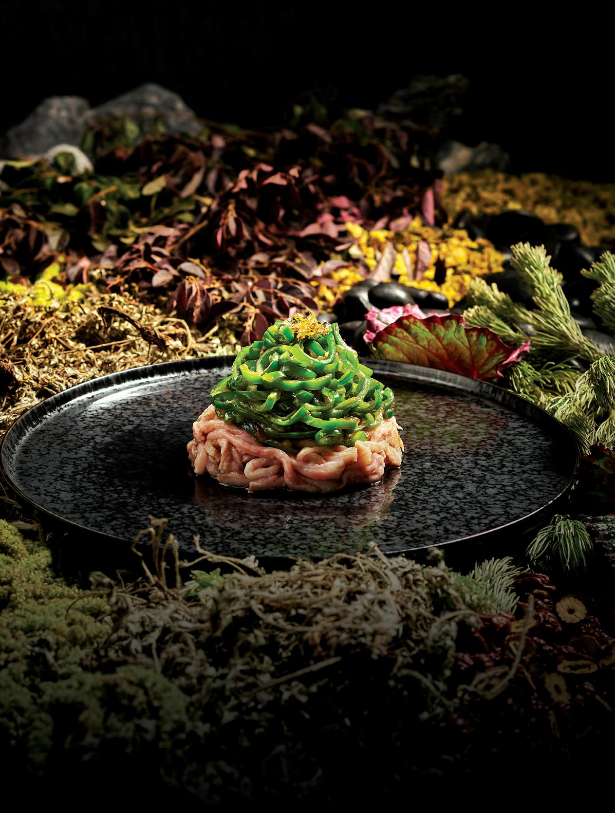 CULINARY ODYSSEY