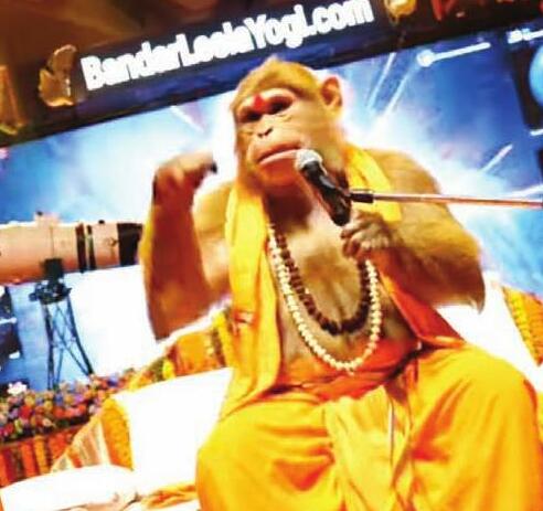 वरील पर बंदर की लीला