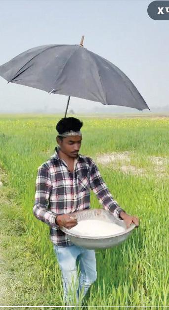 बड़े भाई की अभद्र भाषा