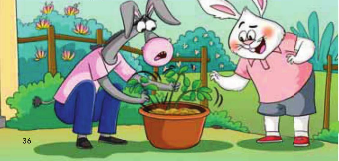 The Blooming Lesson