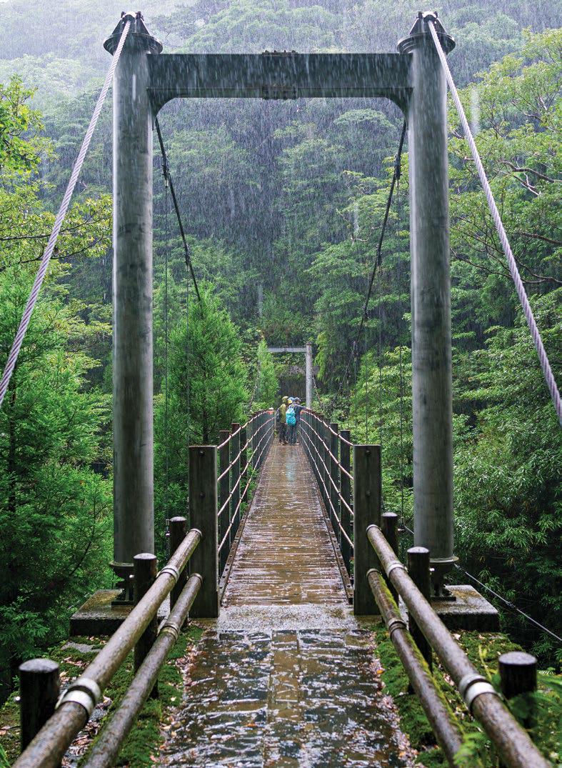 10 Transformative Wellness Escapes to Rewire the Senses