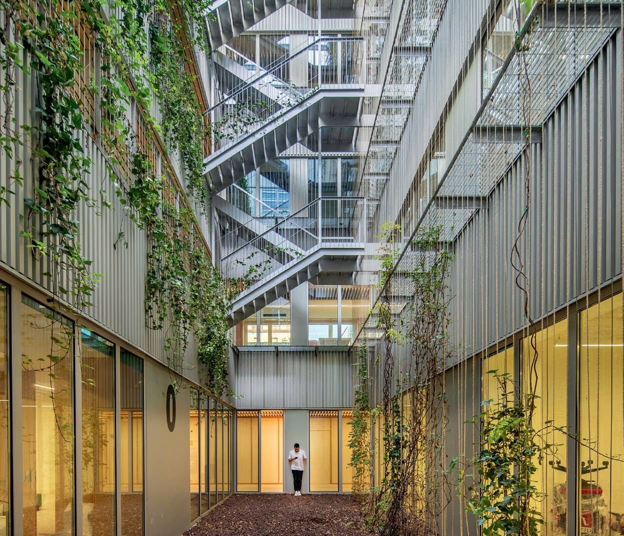 A Biophilic, Flexible Workspace