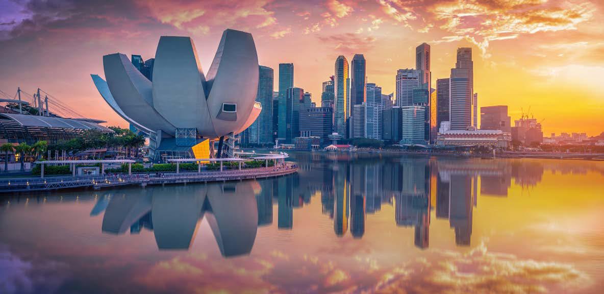 How will Singapore feel as an empty nester?