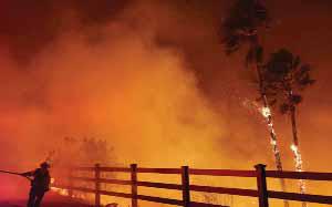 Scientists Struggle to Explain Record Surge in Global Heat