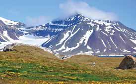 2024 was Hottest Year on Record for Norway's Arctic