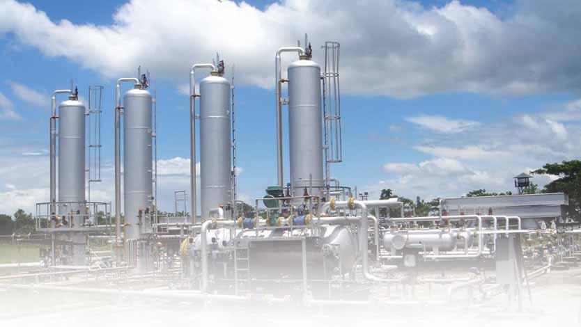 Experts For Exploring Domestic Hydrocarbon Resources To Address Energy Crisis