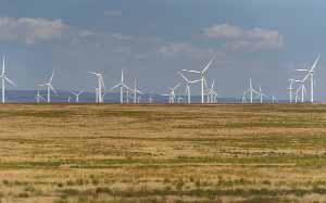 Trump Halts Leasing and Permitting for Wind Energy Projects